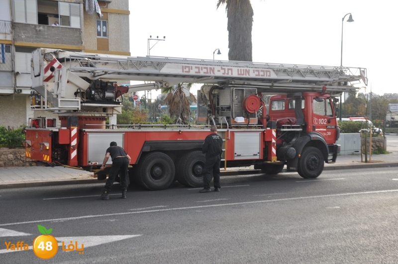 jotha kazeb 0227 (5).JPG